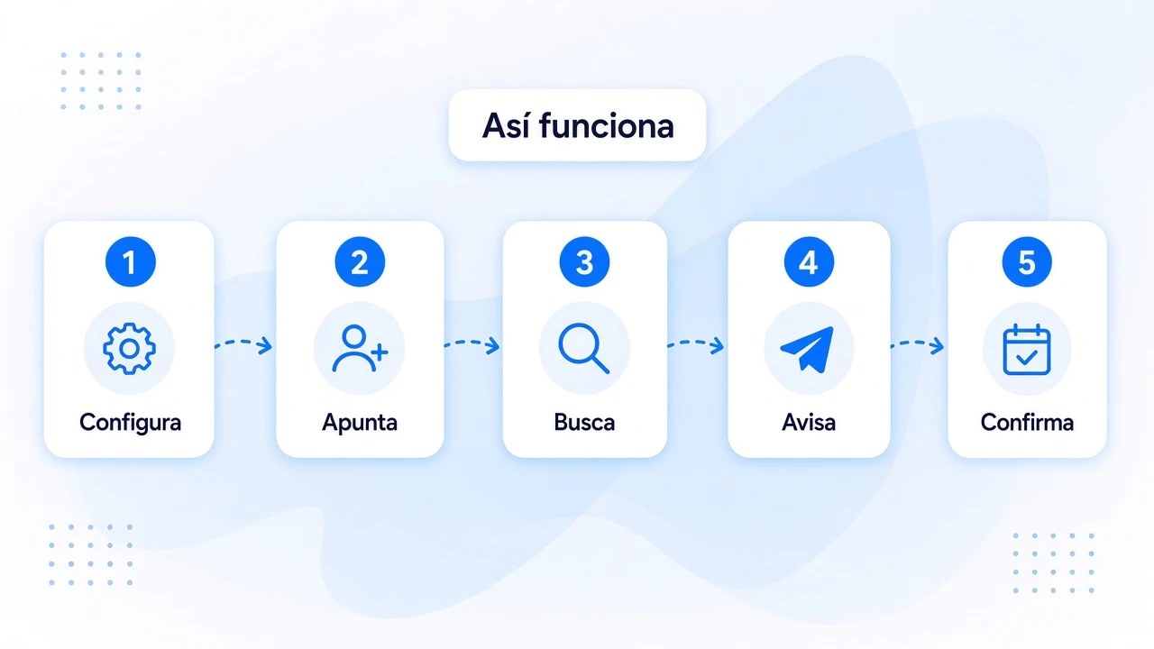 Así funciona, en 5 pasos